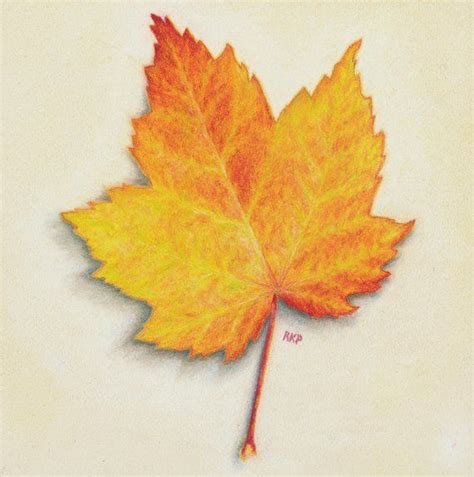 Maple Leaf Beginner Easy Colored Pencil Drawings