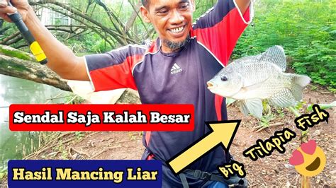 Mancing Disini Ikan Mujairya Sebesar Sendal Ll Spot Mancing Liar Di