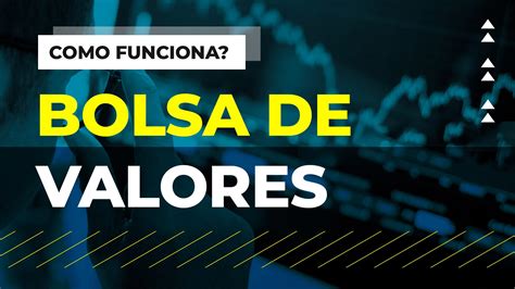 Como Funciona O Mercado De Ações E A Bolsa De Valores Infomoney