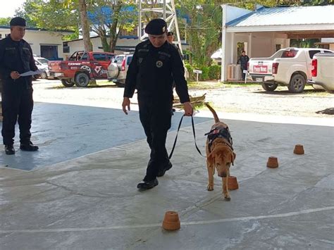 Eod K9 Holds Capabilities Assessment