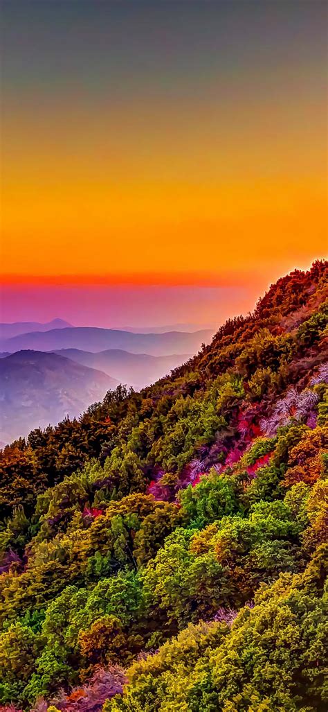 🔥 20 Nature 4k Hd Portrait Wallpapers Wallpapersafari