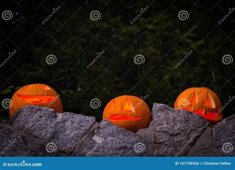 Familia Iluminada Jack O Lantern Visitando La Selva Negra Foto De