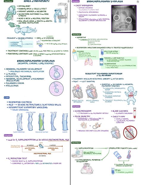Solution Neonatal Icu Clinical Reasoning Studypool