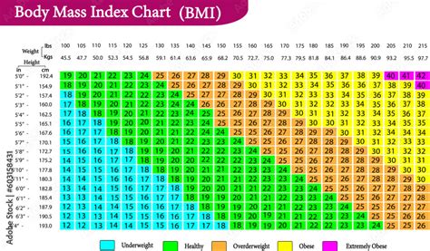 Vector Illustration Of Body Mass Index Bmi Chart Stock Vector Adobe Stock