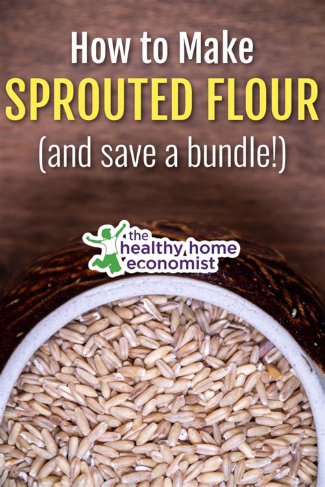 How To Make Sprouted Flour At Home Healthy Home Economist