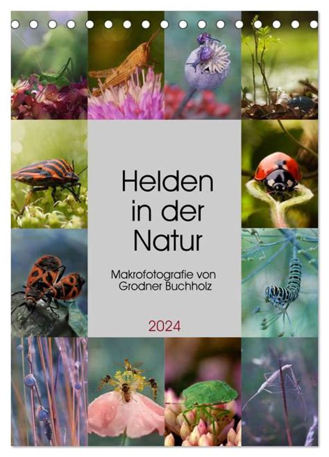 Joanna Grodner Buchholz Helden In Der Natur Tischkalender Din A