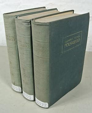 Slownik Jezyka Polskiego Dictionary Of Polnish Language 3 Volumes