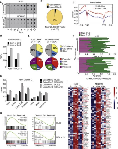 Restoration Of Tet Function Blocks Aberrant Self Renewal And Leukemia