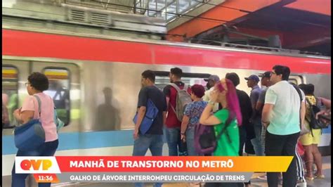 Galho de árvore interrompe circulação de trens no metrô e causa