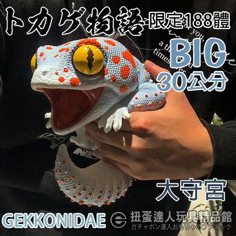 【扭蛋達人】限定188體 Gekkonidae ヤモリ物語 巨大mrga 30公分大雕像 守宮 現貨特價 露天市集 全台最大的網路購物市集