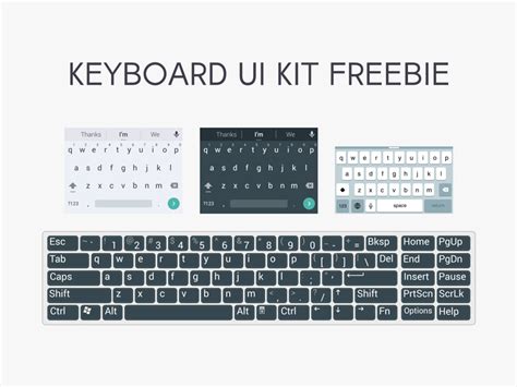 Keyboards Ui Kit By Roxana Carabas On Dribbble