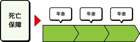 ニッセイ みらいのカタチ 終身保険 日本生命保険相互会社