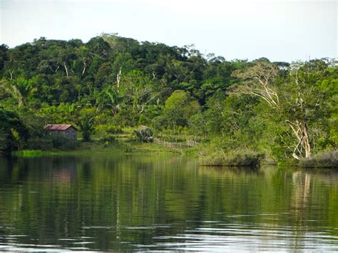 5 Fakta Menarik Tentang Sungai Amazon Sungai Terbesar Di Dunia