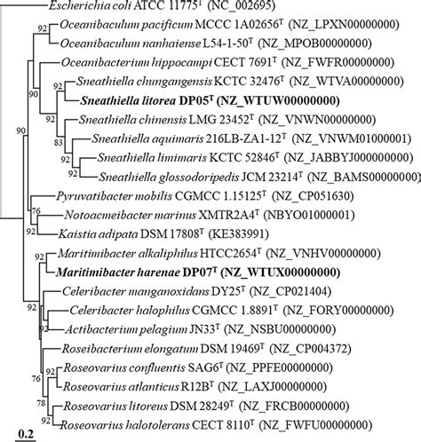 Phylogenomic Tree Based On The Concatenated Housekeeping Core Genes