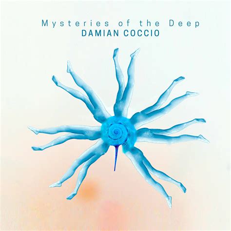 New Solo Bass Album Released Damian Coccio Bassist