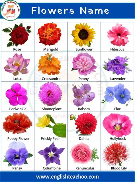 Images Of Flowers And Their Names