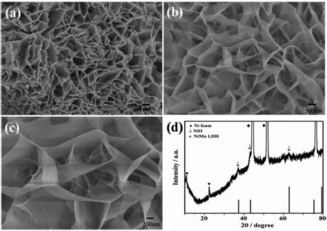 A Sem Image Of The Nio Nanoplate On Ni Foam B And C Sem Images Of