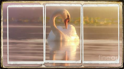 Swan lake art Digital Art by Al Martinez - Fine Art America