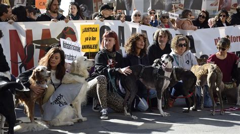 Miles de personas se manifiestan en España para pedir el fin de la caza