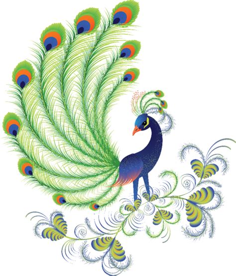 Vector Peacock Png Clipart Background Png All