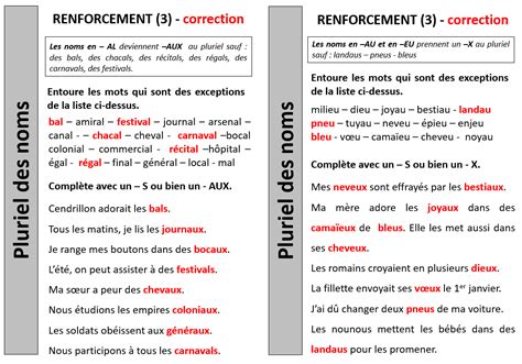 Orthographe Renforcement Pluriel Des Noms Ce Cm Journal D Une