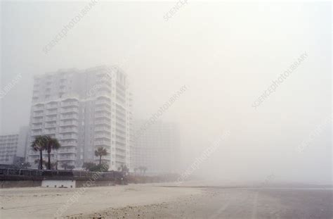 Coastal fog - Stock Image - E128/0334 - Science Photo Library