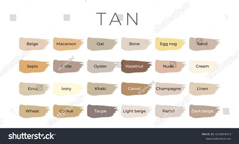 818 Tan Colored Egg Images Stock Photos And Vectors Shutterstock