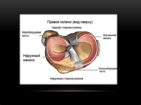 Повреждение менисков коленного сустава - презентация онлайн