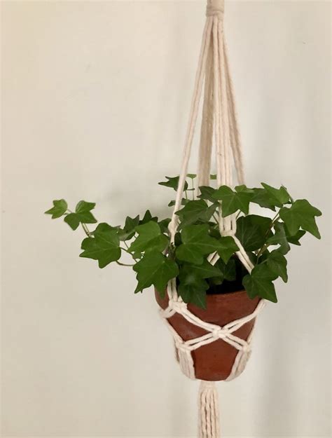 A Potted Plant Hanging From A Rope