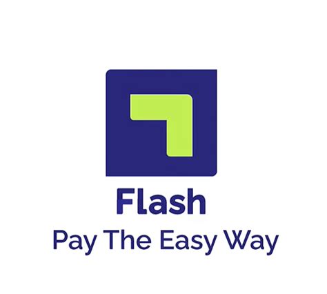 Egyptian Fintech Startup Flash Secures 6m In Seed Funding To Foster