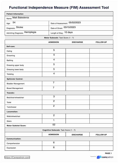 Functional Independence Measure Fim And Example Free Pdf Download