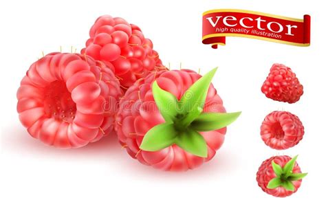 Iconos Dulces Del Vector De La Fruta 3d De La Frambuesa Fijados Berry