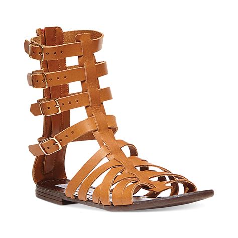 Steve Madden Womens Ceaserr Flat Gladiator Sandals In Brown Cognac