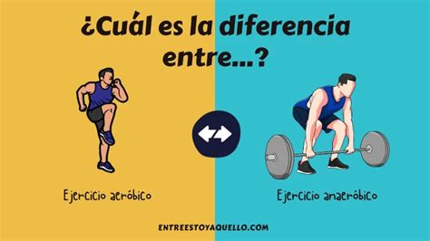 Ejercicio Aer Bico Vs Ejercicio Anaer Bico Diferencias