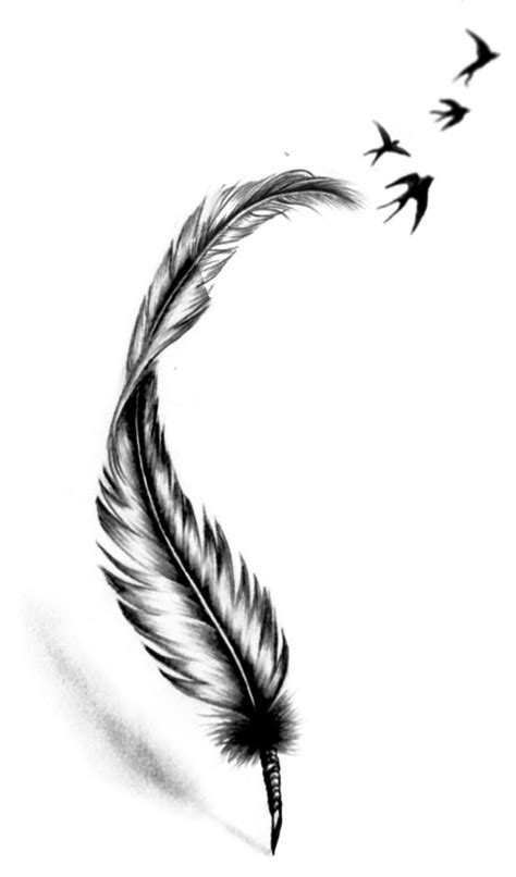 A Black And White Drawing Of A Feather With Birds Flying By Its Side