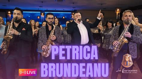 Petrica Brundeanu Armin Nicoara Si Petrica Nicoara Muzica De