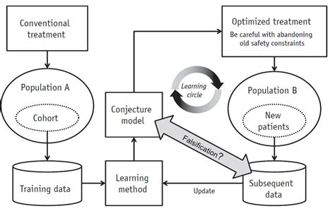 Phenomenological Modelling Umcg Radiation Oncology