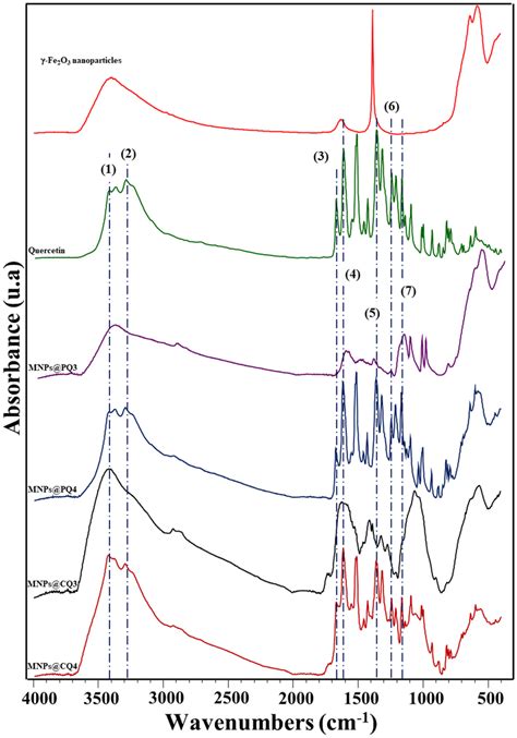 Ftir Spectra Of The γ Fe2o3 Nanoparticles Quercetin Mnps Pq3 Download Scientific Diagram