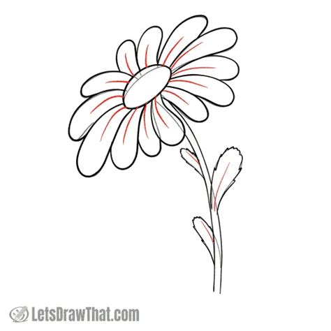 How to Draw a Daisy From Easy Simple Shapes