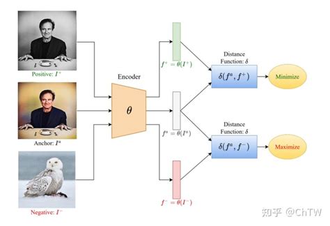 对比学习（contrastive Learning）概述 知乎