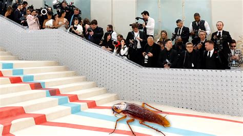 A Cockroach Was The Unexpected Star Of The Met Gala