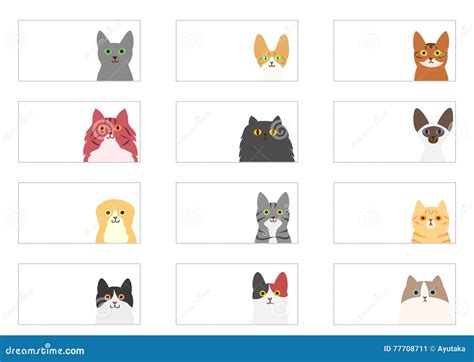 Cats Banner Set Stock Vector Illustration Of Body Abyssinian 77708711