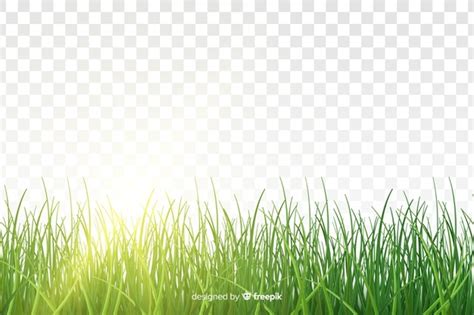 Grass Outline Vector at Vectorified.com | Collection of Grass Outline ...