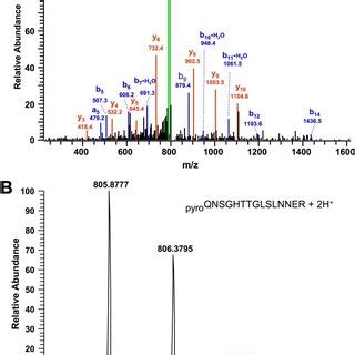 Mass Spectrometric Identification Of MTP B A MS MS Fragmentation