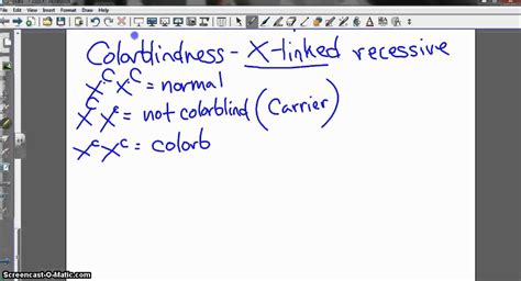 Sex Linked Traits Mp4 YouTube