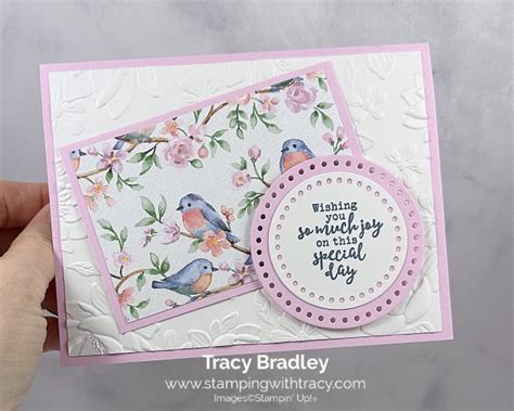 Stampin Up Flight And Airy Designer Series Paper Stamping With Tracy