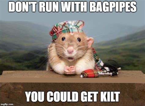 Bagpipes Memes And S Imgflip