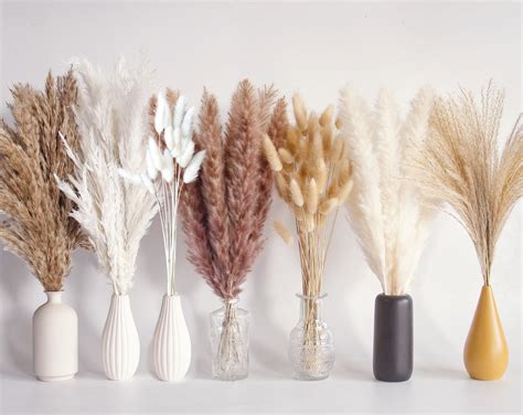 Buy Pcs Dried Pampas Grass Bouquet Boho Table Decor Bunny Tails