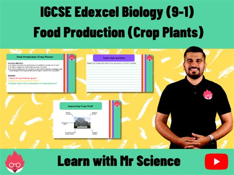 Igcse Edexcel Biology 9 1 Food Production Crop Plants Teaching Resources