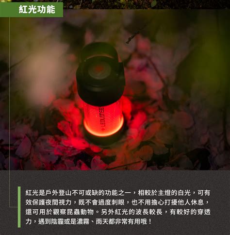 德國 Led lenser ML4 300流明充電式迷你露營燈 限量版森林綠 黃光版 瑞格華大海刀品